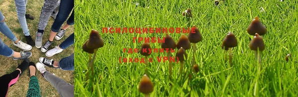 скорость Алексеевка